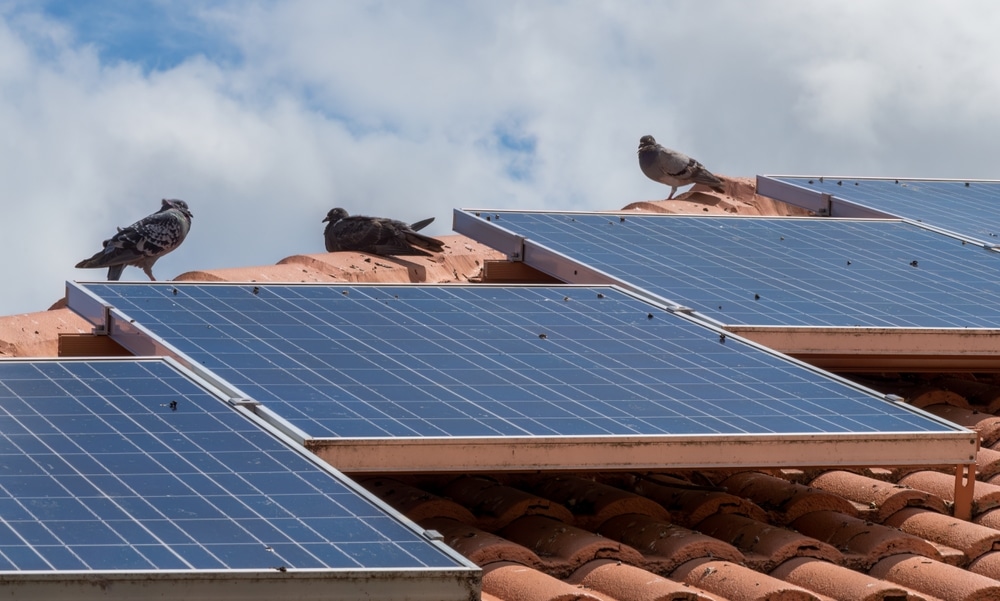 Die ökologischen Auswirkungen von Dach-Photovoltaikanlagen